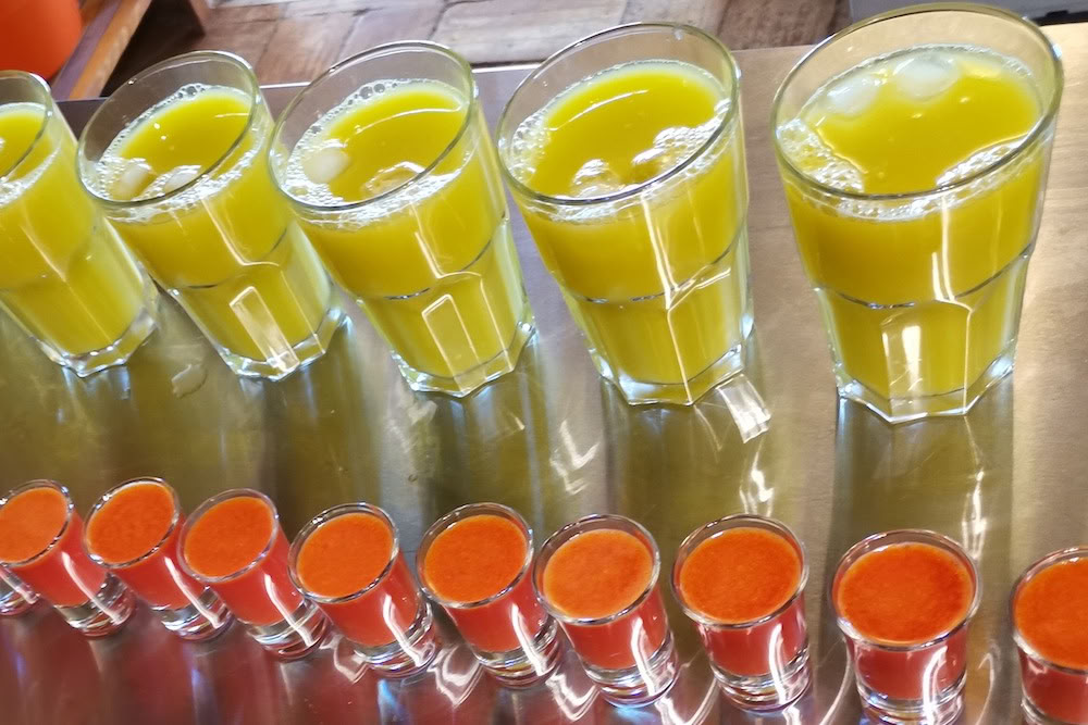 Juice-Detox, Yoga & Wellness Retreat – 29. Aug. 2026 - 05. Sep. 2026