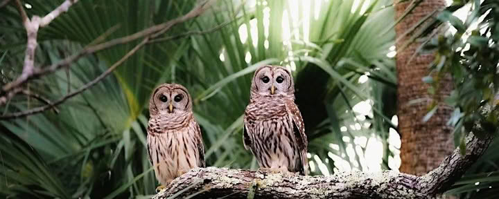 Natur-Eco-Tour