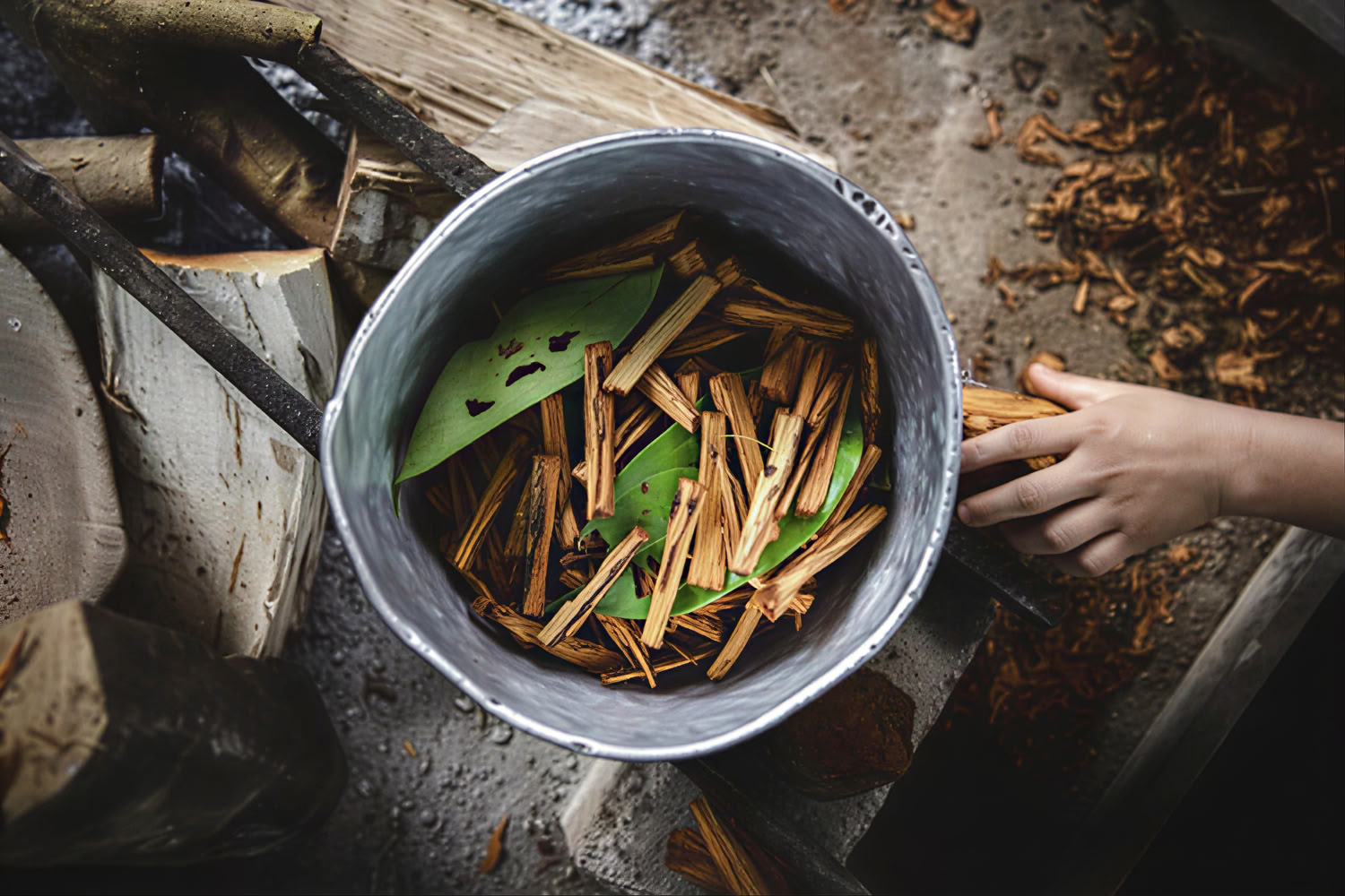 Privates Ayahuasca-Retreat mit andinen Ritualen (3 Tage) Ayahuasca-Zeremonie-Retreat mit andinen Ritualen (privat, 3 Tage) 2 Ayahuasca-Sitzungen