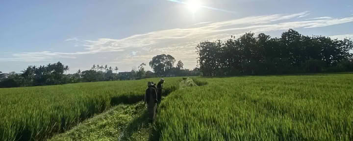 Kostenloser Morgenspaziergang