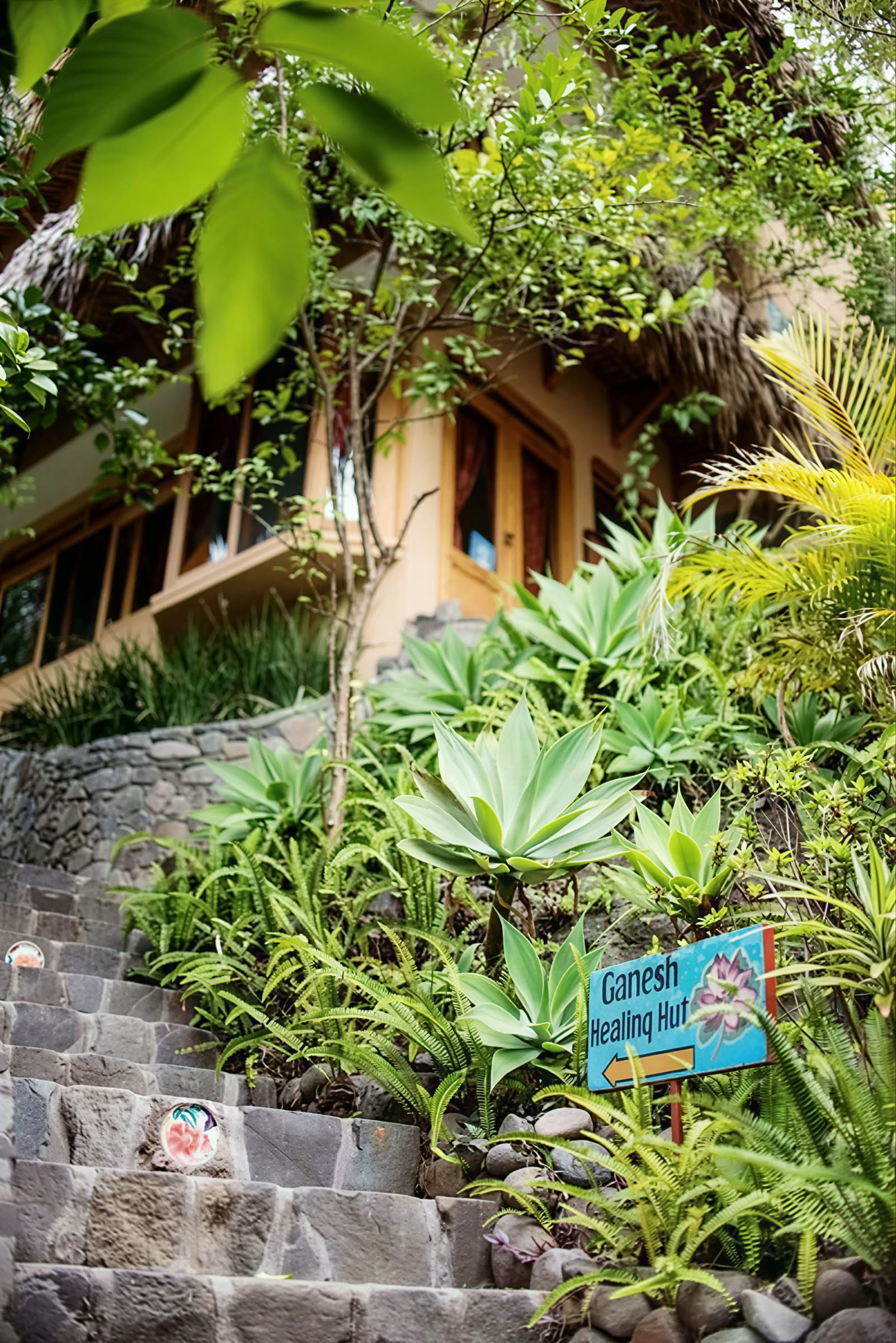 6-tägiges Guatemala Yoga Retreat – 1.-6. September 2026 mit Michelle Fajkus