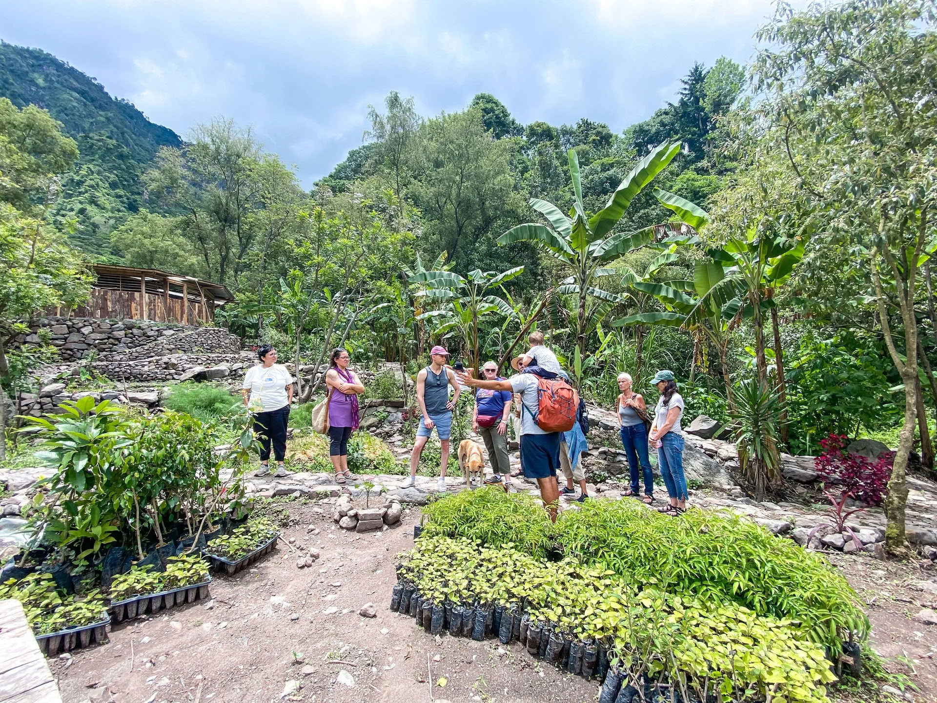 6-tägiges Guatemala Yoga Retreat – 1.-6. September 2026 mit Michelle Fajkus