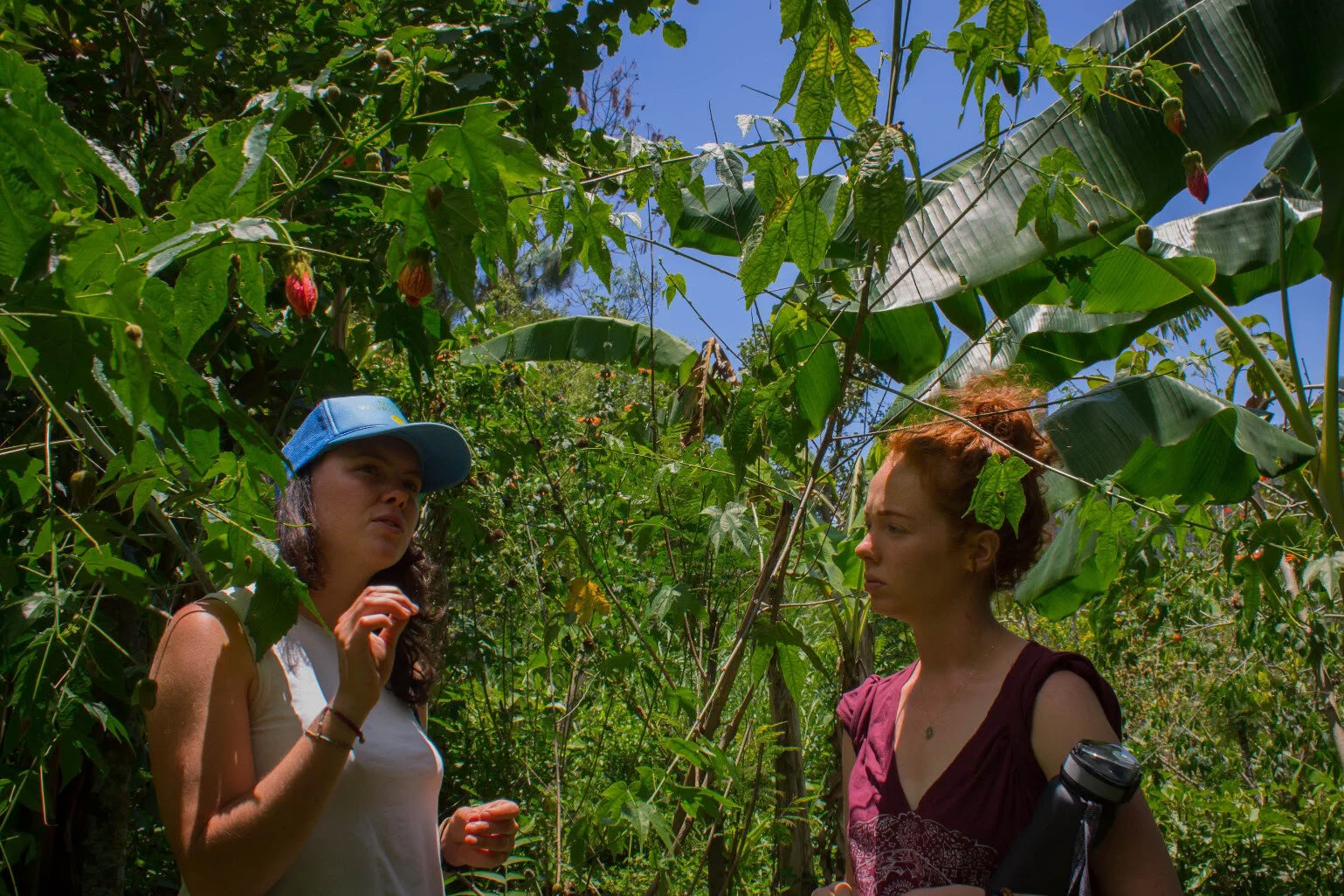6-tägiges Guatemala Yoga Retreat – 1.-6. September 2026 mit Michelle Fajkus