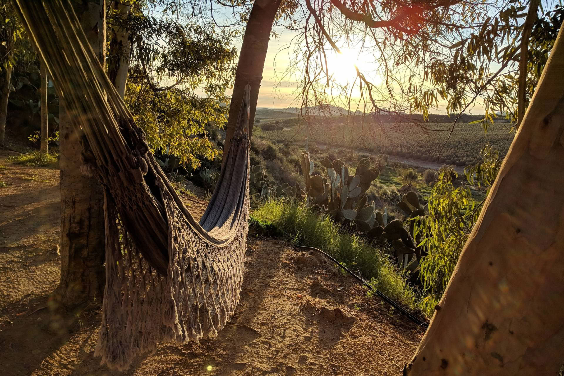 Dharma Retreat – 14.–18. November 2026 - Spanien