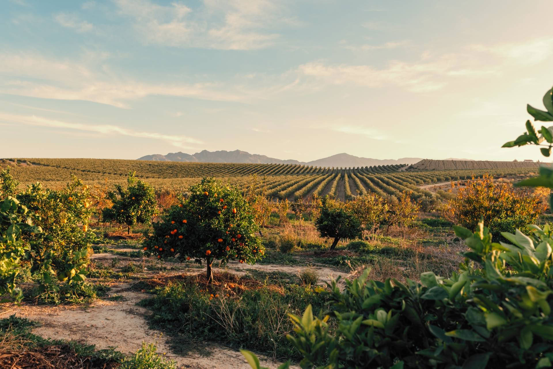 Core Retreat – 21.–25. Oktober 2026 - Spanien