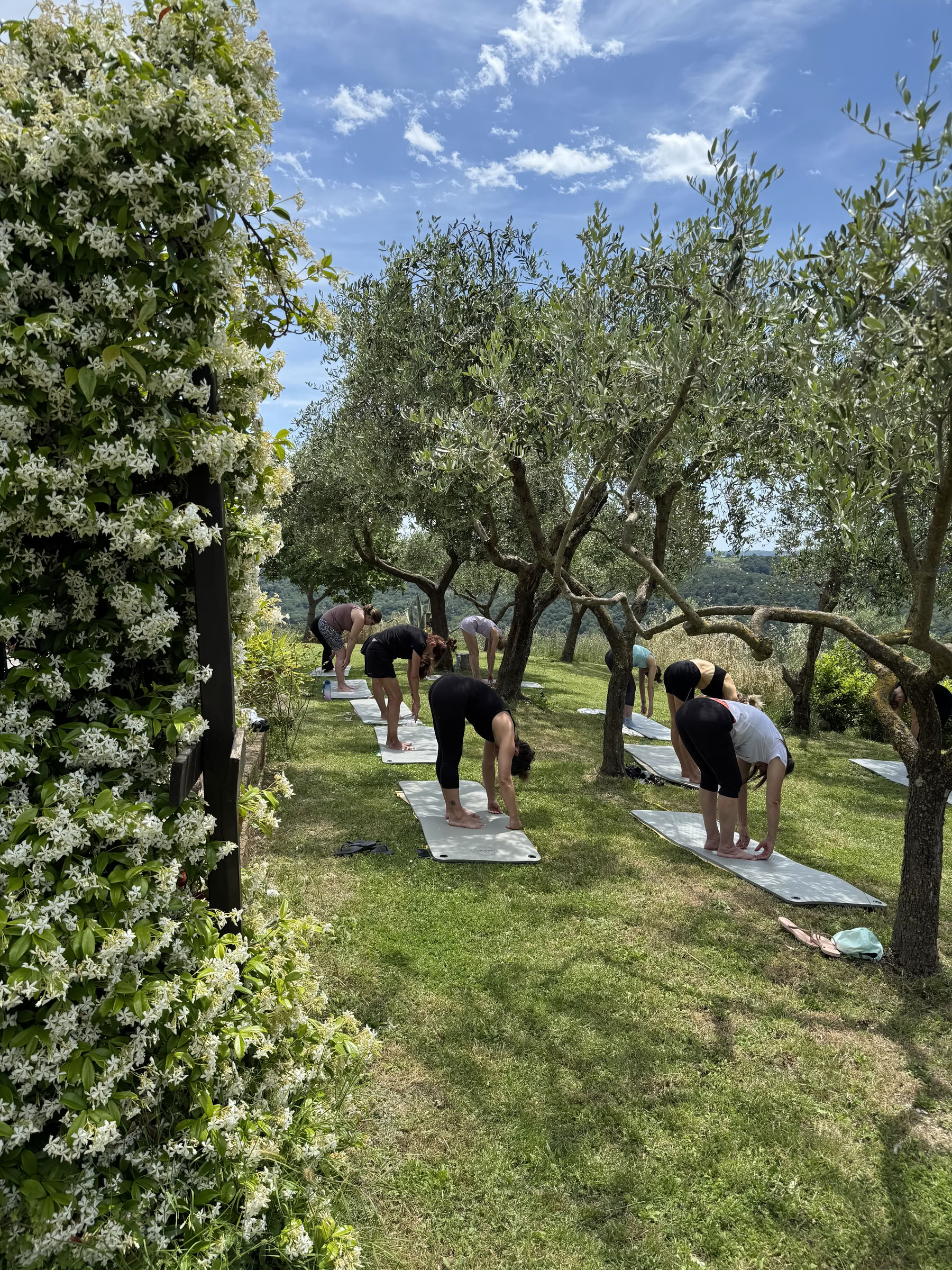 Creating Alignment | In Körper und Geist Retreat