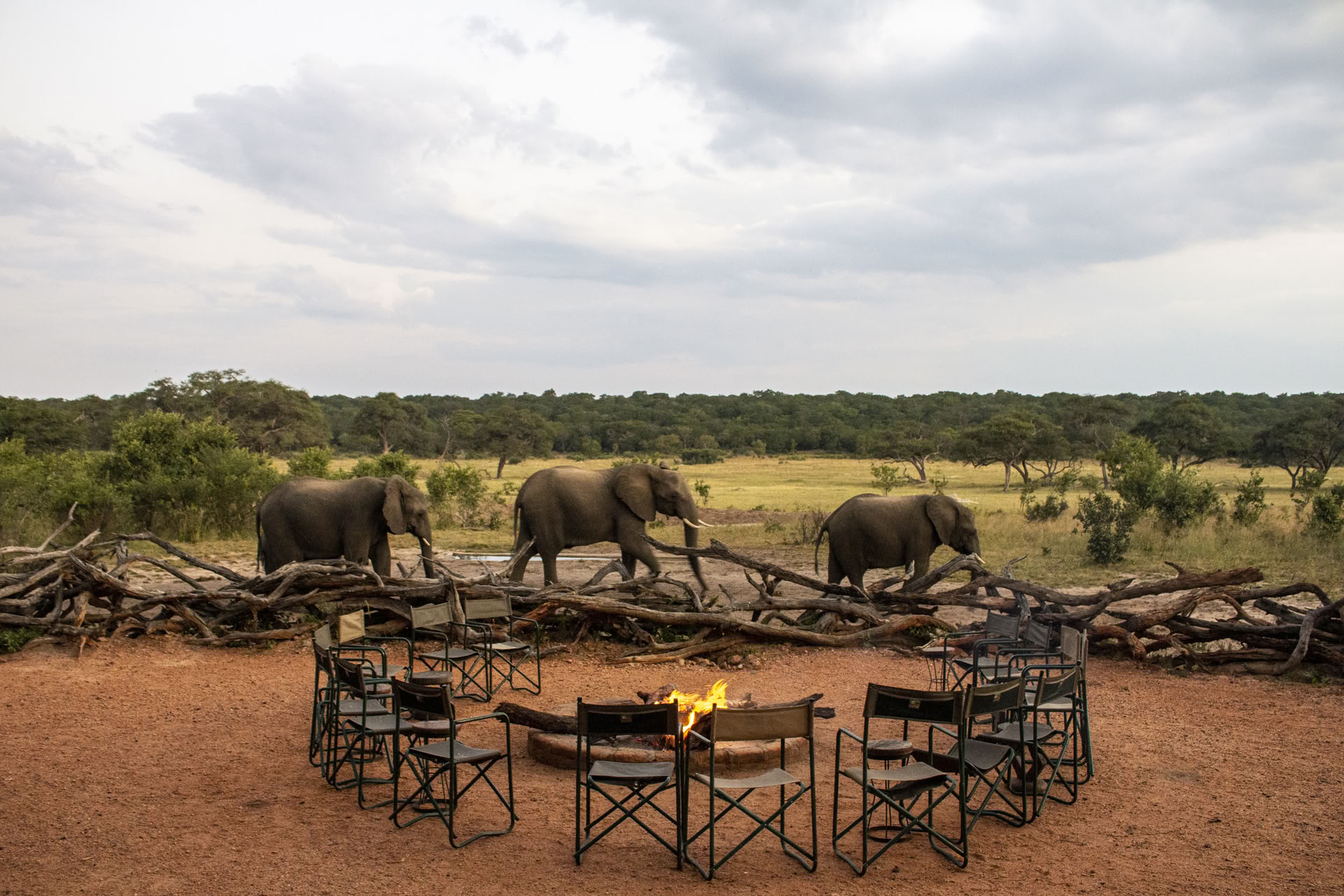 Gesundheits- & Wellness-Safari