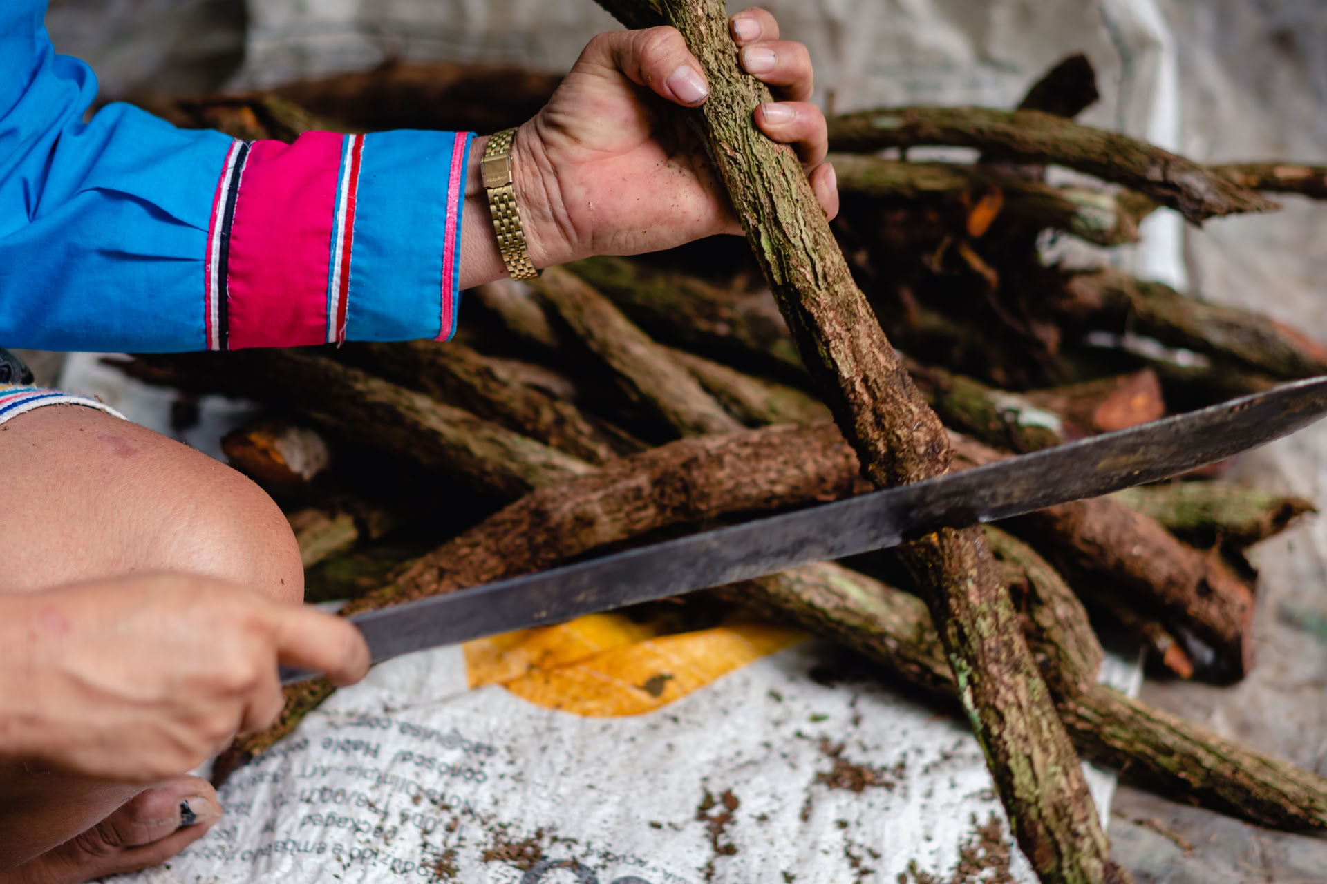 Ayahuasca August 2026 Renewal Retreat (12-Tage)