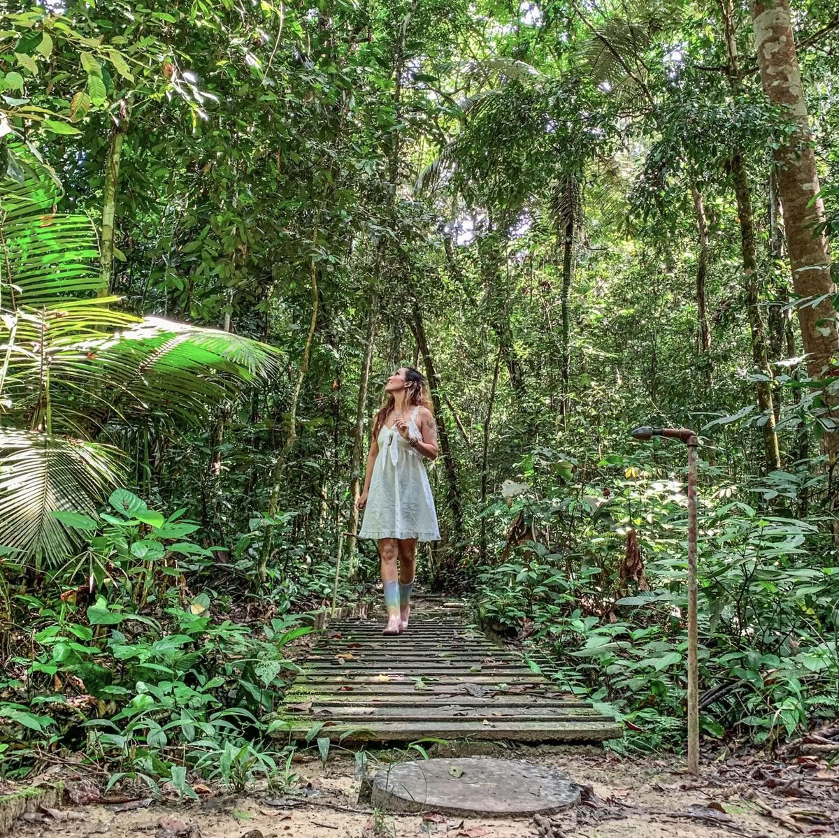 Ayahuasca August 2026 Renewal Retreat (12-Tage)