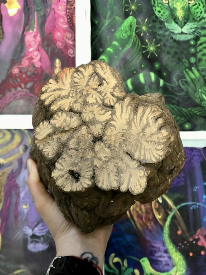 Ayahuasca August 2026 Renewal Retreat (12-Tage)