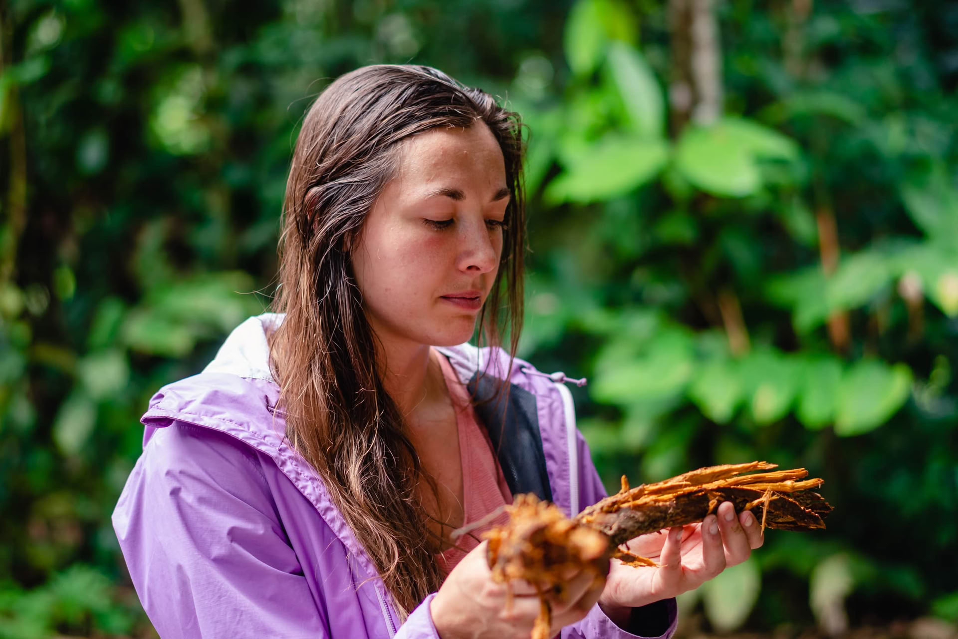 Ayahuasca August 2026 Renewal Retreat (12-Tage)