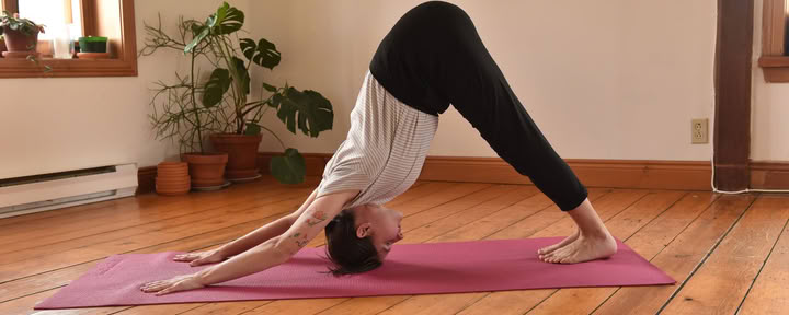 Traditionelles Hatha Yoga (8:30 Uhr - 9:30 Uhr)