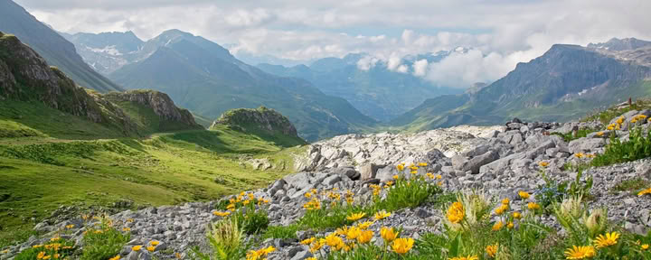 Tal der Blumen Trek