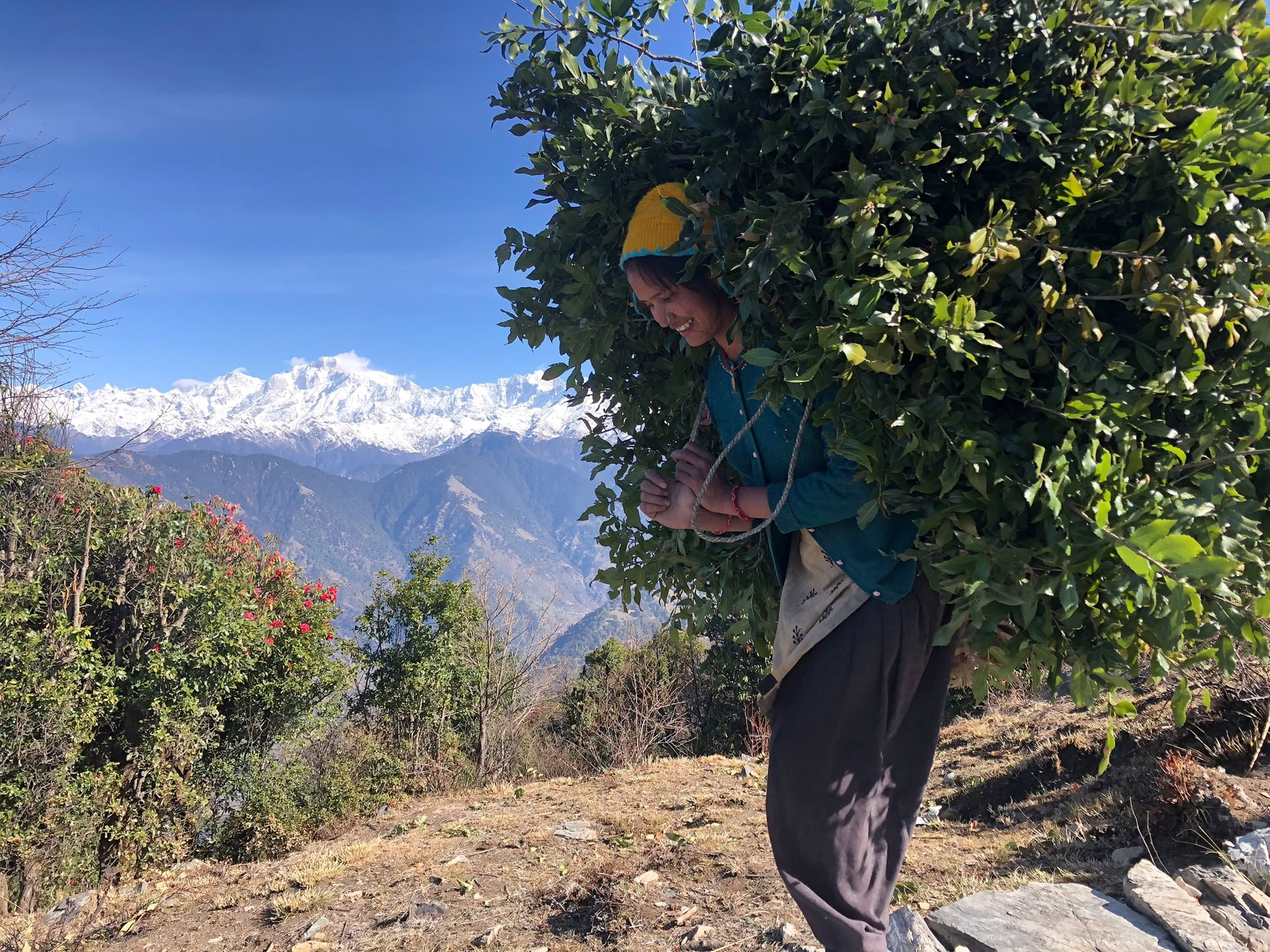 Chopta-Tungnath-Trek