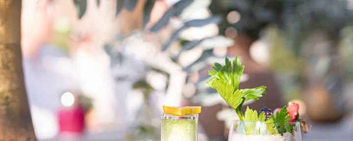 Detox Deluxe Retreat Oktober
