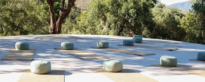 THE LUMINOUS SELF - YOGA Retreat