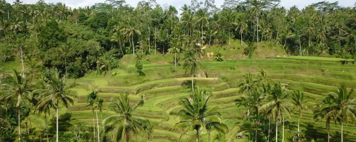 Me-Time. My Way. Wellness Retreat auf Bali