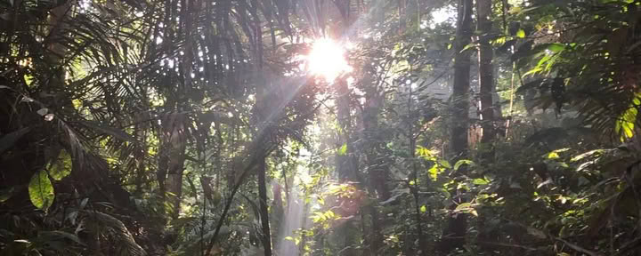 15-TAGE-RETREAT: WURZELN DER TRANSFORMATION