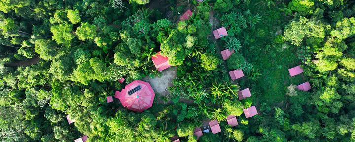 Ayahuasca Retreat Pucallpa