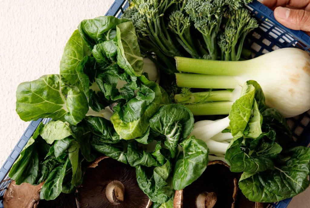 Holistisches Detox-Programm