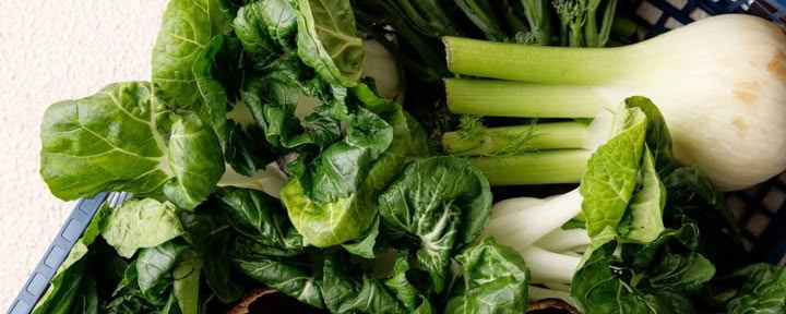 Holistisches Detox-Programm