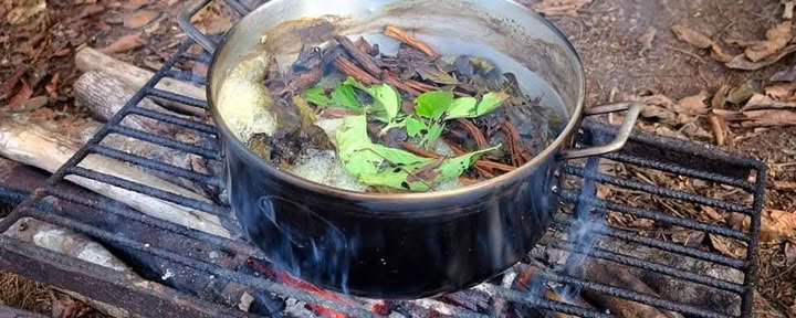 5 Tage Ayahuasca Retreat Iquitos-Peru
