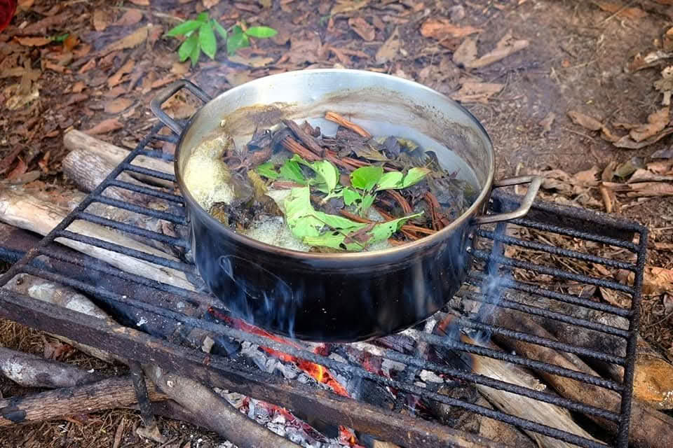 12 Tage Ayahuasca Retreat Peru bei Selva Madre