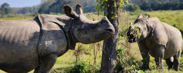 Poon Hill nach Chitwan - Yoga . Wanderung . Breathwork (2026 WARTELISTE)