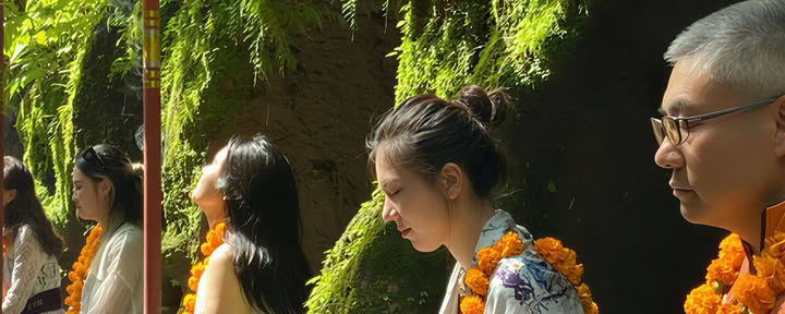 Day Wellness | Paket
