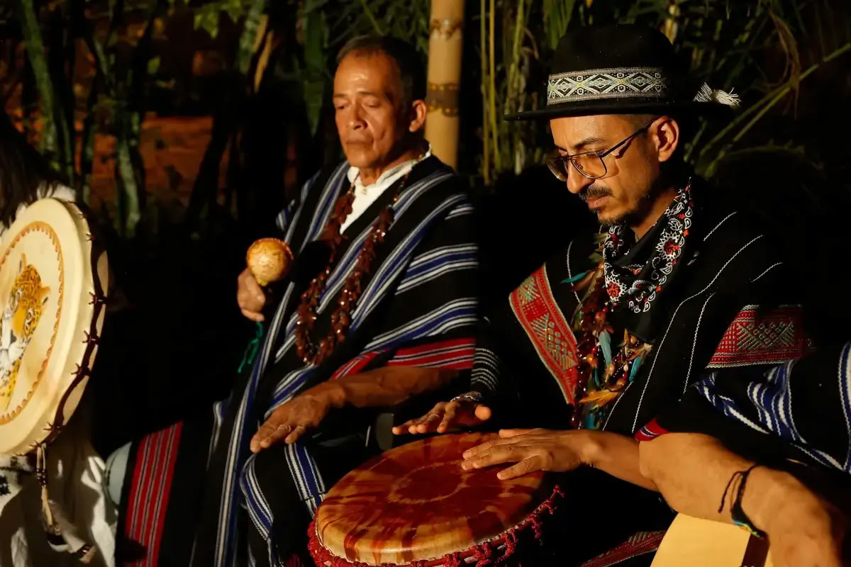 1 Nacht Ayahuasca Retreat Medellin