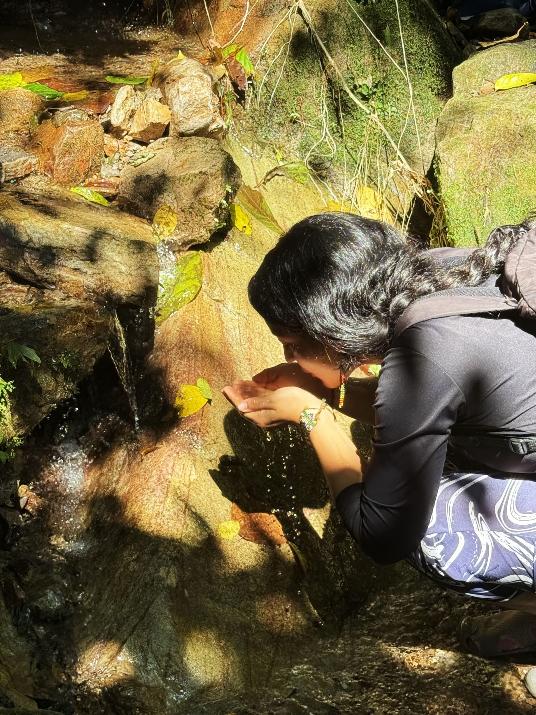 10-tägiges yagé- oder Ayahuasca-Retreat, Januar 2027, kolumbianischer Amazonas — ZiruYai