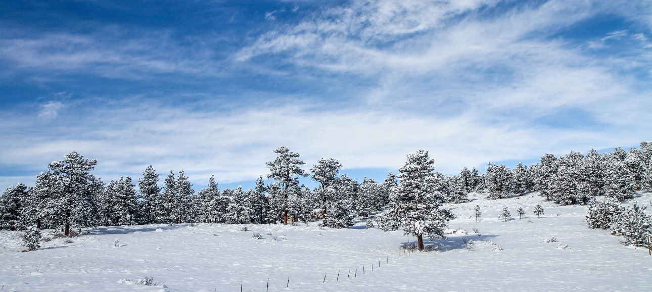 Finding Calm and Insight Through the Breath: Eine geführte Meditations-Retreat