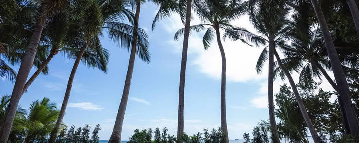 Magisches Yoga-Retreat im Samahita Retreat, Koh Samui, Thailand