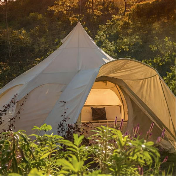 Intimes Ayahuasca-Retreat | Kinkara, Costa Rica | 11. - 17. Juli 2026