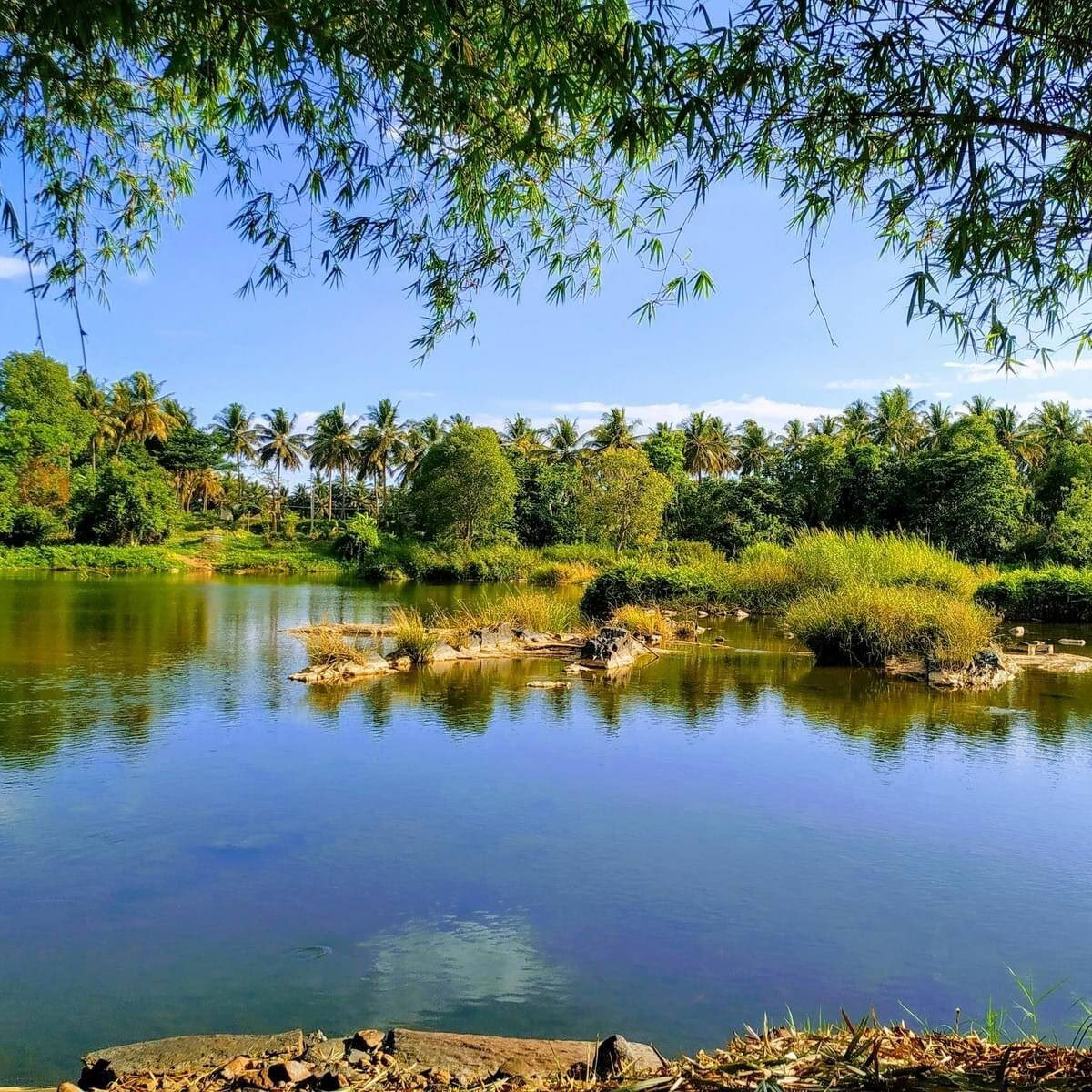 Brahma Mouna Stille & Wellness Retreat