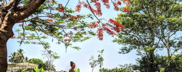 Patanjali Yoga Sutra-Kurs