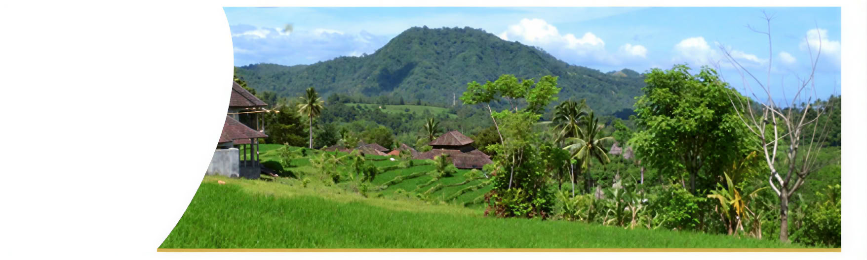 Heilungswoche in Bali