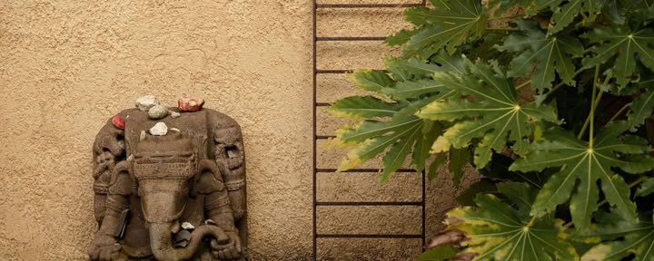 7-tägiges Silence – Detox – Movement Retreat