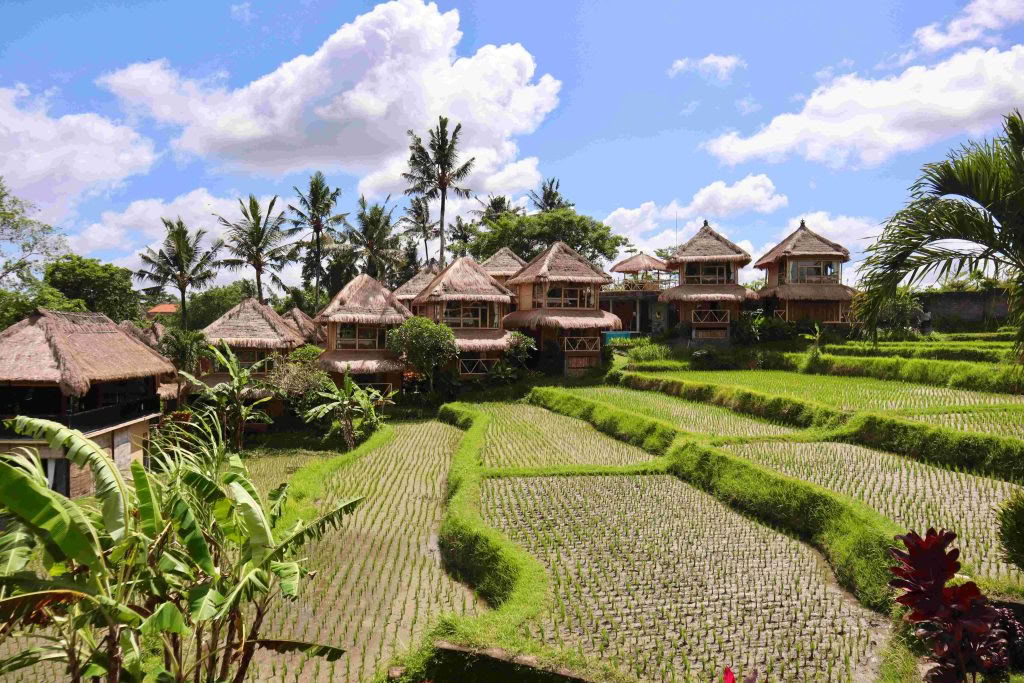RYT200 Yoga Lehrer Ausbildung – 30. Aug. - 19. Sep.