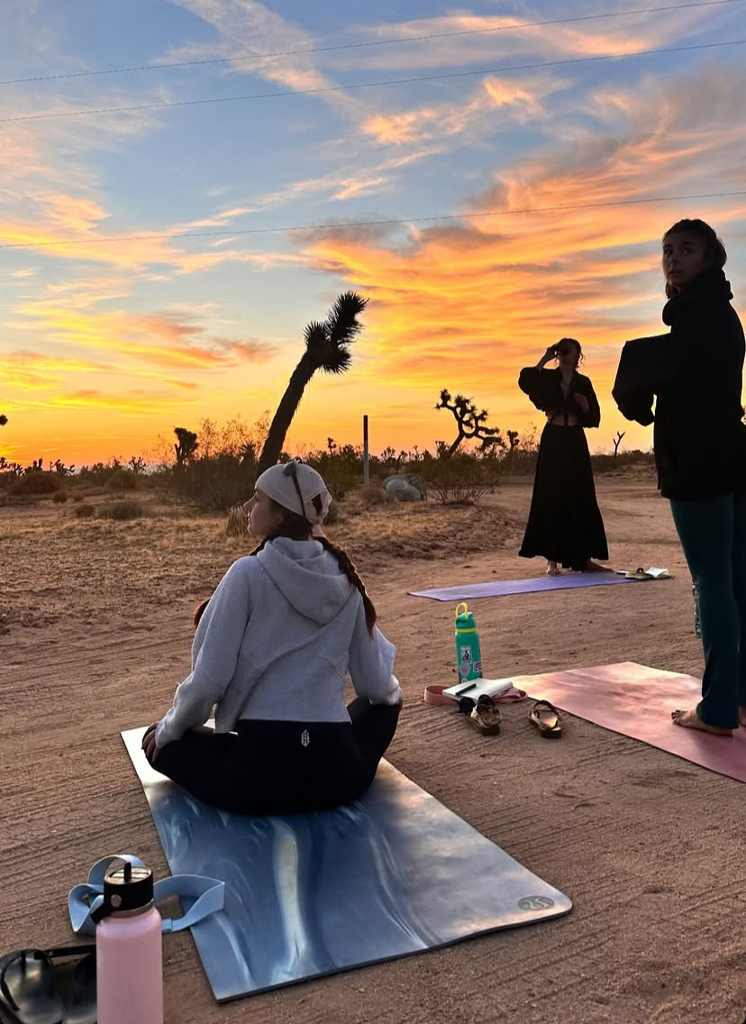 15-tägiges RYT200-Programm in Joshua Tree, Kalifornien