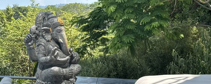 KAP & Energy Healing Kundalini-Aktivierungsprozess