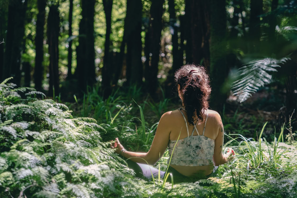 Detox Retreat – Herbstliche Reinigung