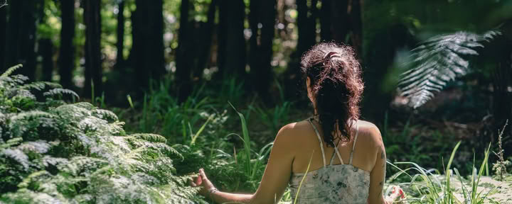 Detox Retreat – Herbstliche Reinigung