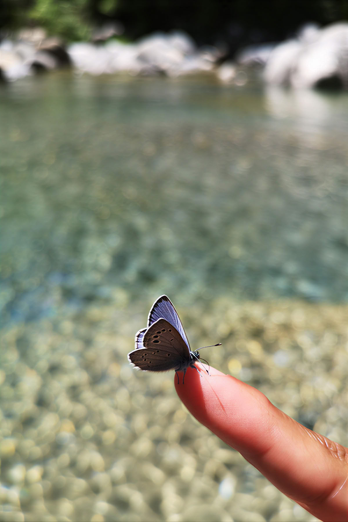 Forest Bathing: Yoga, Kunst & Natur Retreat
