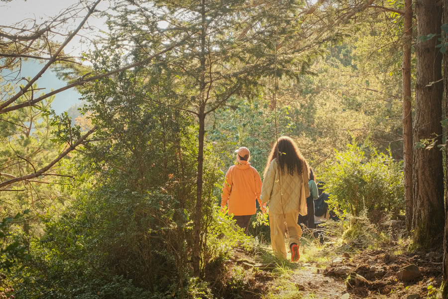 Forest Bathing: Yoga, Kunst & Natur Retreat