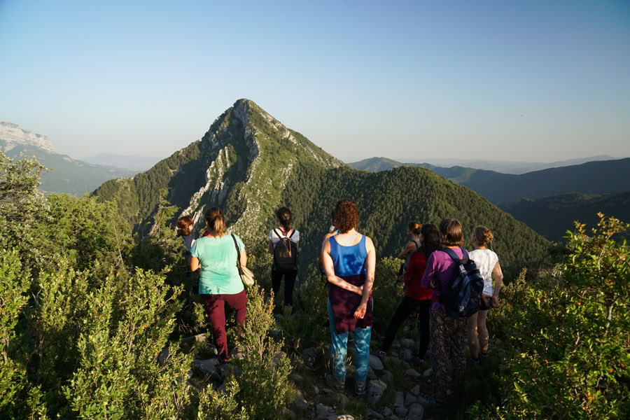 Ehrfurcht vor dem Leben: Yoga-, Kunst- & Natur-Retreat