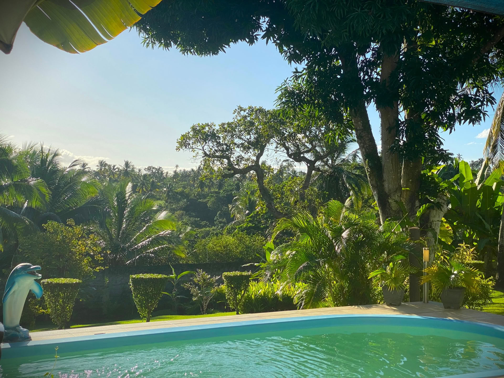 14-tägiges Ayahuasca Retreat mit Flow Brazil Yoga / Meditation und Massagen