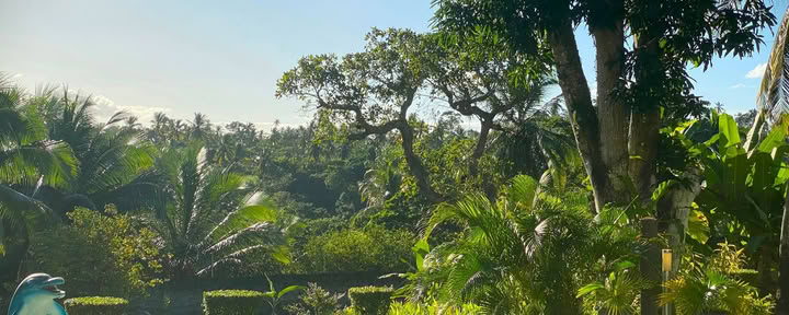 14-tägiges Ayahuasca Retreat mit Flow Brazil Yoga / Meditation und Massagen