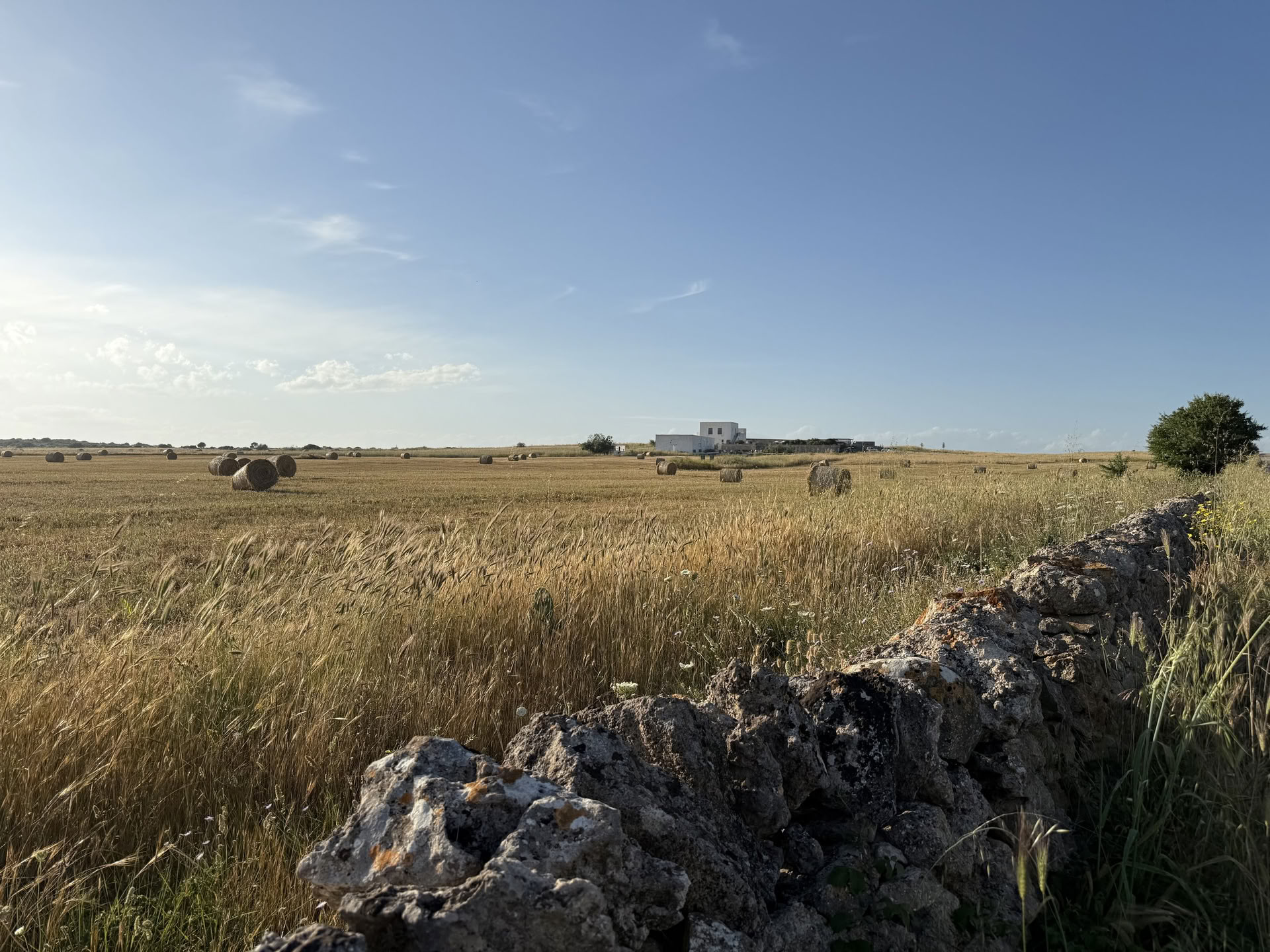 Conversations with Place: Eine kreative Residency in Masseria Specula