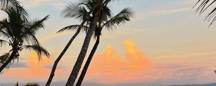 Yoga & Surf auf der Osa-Halbinsel, 13.–20. März 2027 — ASHTANGA MONTAUK